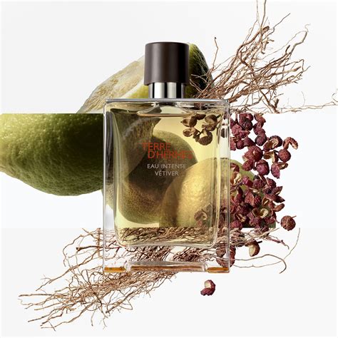 tera de hermes|terre d'hermes fragrance.